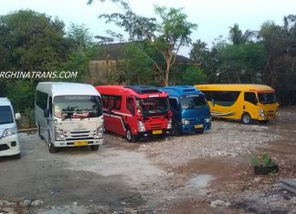 Harga Sewa Elf di Cilincing Jakarta Utara Terbaru Murah 2025 sewa elf jakarta