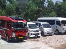 Harga Sewa Elf di Tanjung Priok Jakarta Utara Terbaru Murah 2025 sewa elf tanjung priok